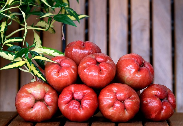 8 pomarosa rose apple picture set