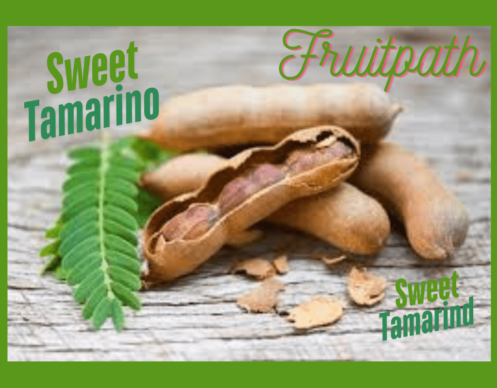 A image of Sweet Tamarino or Tamarind with green leave