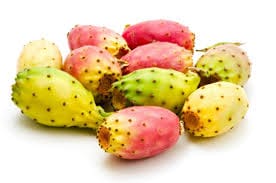 cactus pear or prickly pear image