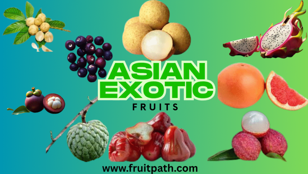 The image is a vibrant advertisement for Asian exotic fruits, featuring a diverse array of fruits against a gradient background that transitions from blue to green. The title "ASIAN EXOTIC FRUITS" is prominently displayed in large, bold green letters at the center of the image, with the word "FRUITS" written in smaller black text underneath. Fruits Featured: Longan Java Plum Mangosteen Sugar Apple Rambutan Dragon Fruit Santol Lychee