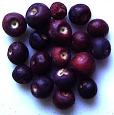 A close-up image of a pile of phalsa fruits against a white background.