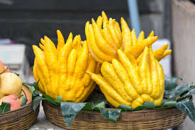 three zesty Buddha's yellow colour fruits on a wooden bowel with green leave and some apple also showing