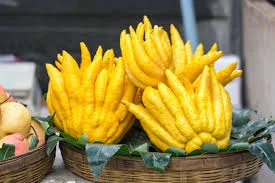three zesty Buddha's yellow colour fruits on a wooden bowel with green leave and some apple also showing