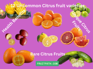 Uncommon Citrus Fruit Varieties: for Curious Fruit Lovers: