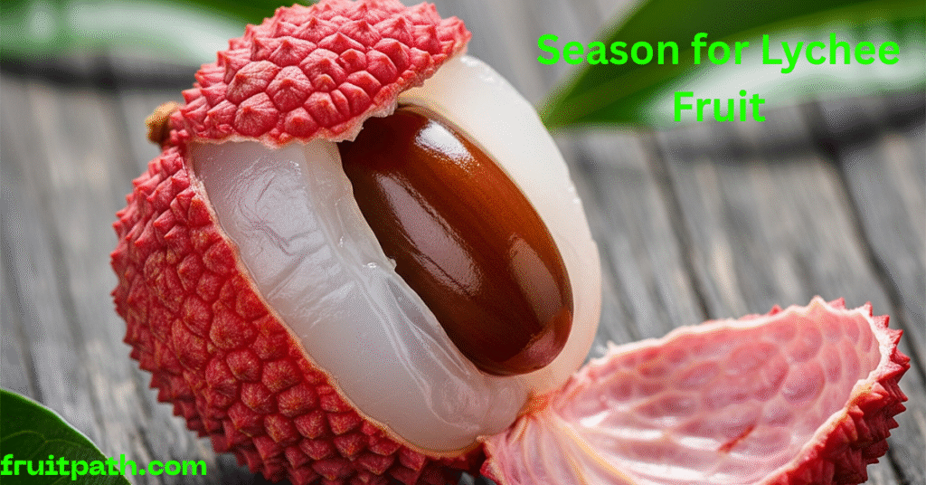 A single, ripe lychee fruit, partially peeled to reveal its translucent white flesh and dark brown seed, resting on a dark wooden surface with a couple of green leaves." on the top right written in green season for lychee fruit and bottom left fruitpath.com a web site name