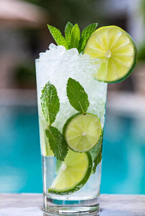 Classic virgin lime mojito in a tall glass with crushed ice, muddled lime wedges, fresh mint, sparkling water, and a lime wheel garnish."

