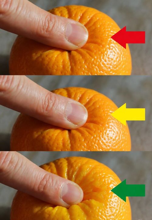 Three oranges being gently squeezed: too hard (no give), perfect (slight yield like ripe avocado), too soft (mushy overripe).