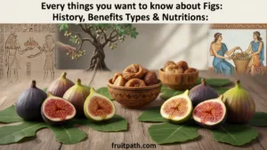 Everything You Want to Know About Figs: History, Benefits, Types & Nutrition: