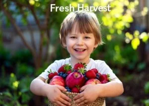 Fruit Cultivation & Gardening: