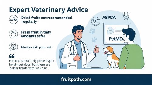 Illustration of a veterinarian giving thumbs-up advice to a dog owner, with a happy dog, highlighting expert recommendations from sources like ASPCA, AKC, and PetMD to avoid regular dried fruits and consult vets for safe treats."