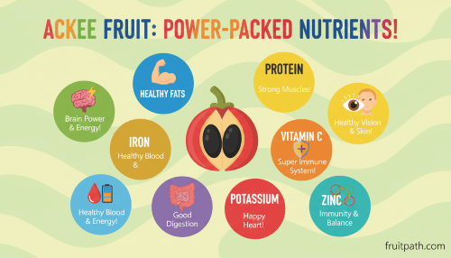 Ackee fruit infographic showing nutrients like healthy fats, protein, vitamin A, vitamin C, potassium, fiber, iron, and zinc with their health benefits