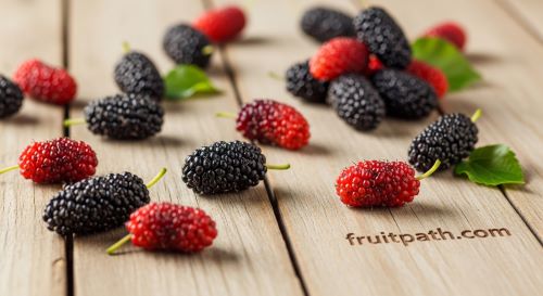 Fresh mulberries on wooden table.